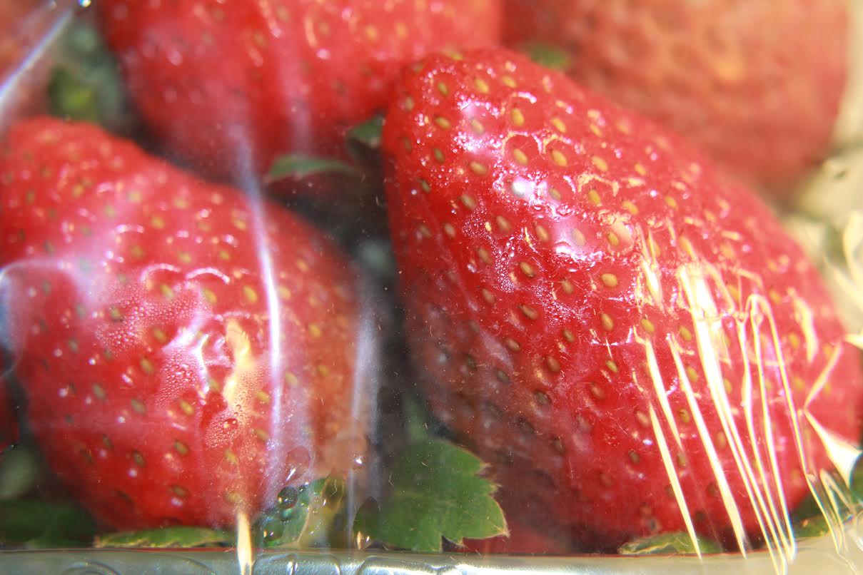 Un consorcio entre Braskem, AlpFilm, Nanox, UFSCar y la UJI produce una película plástica que elimina el coronavirus Un consorcio entre Braskem, AlpFilm, Nanox, UFSCar y la UJI produce una película plástica que elimina el coronavirus