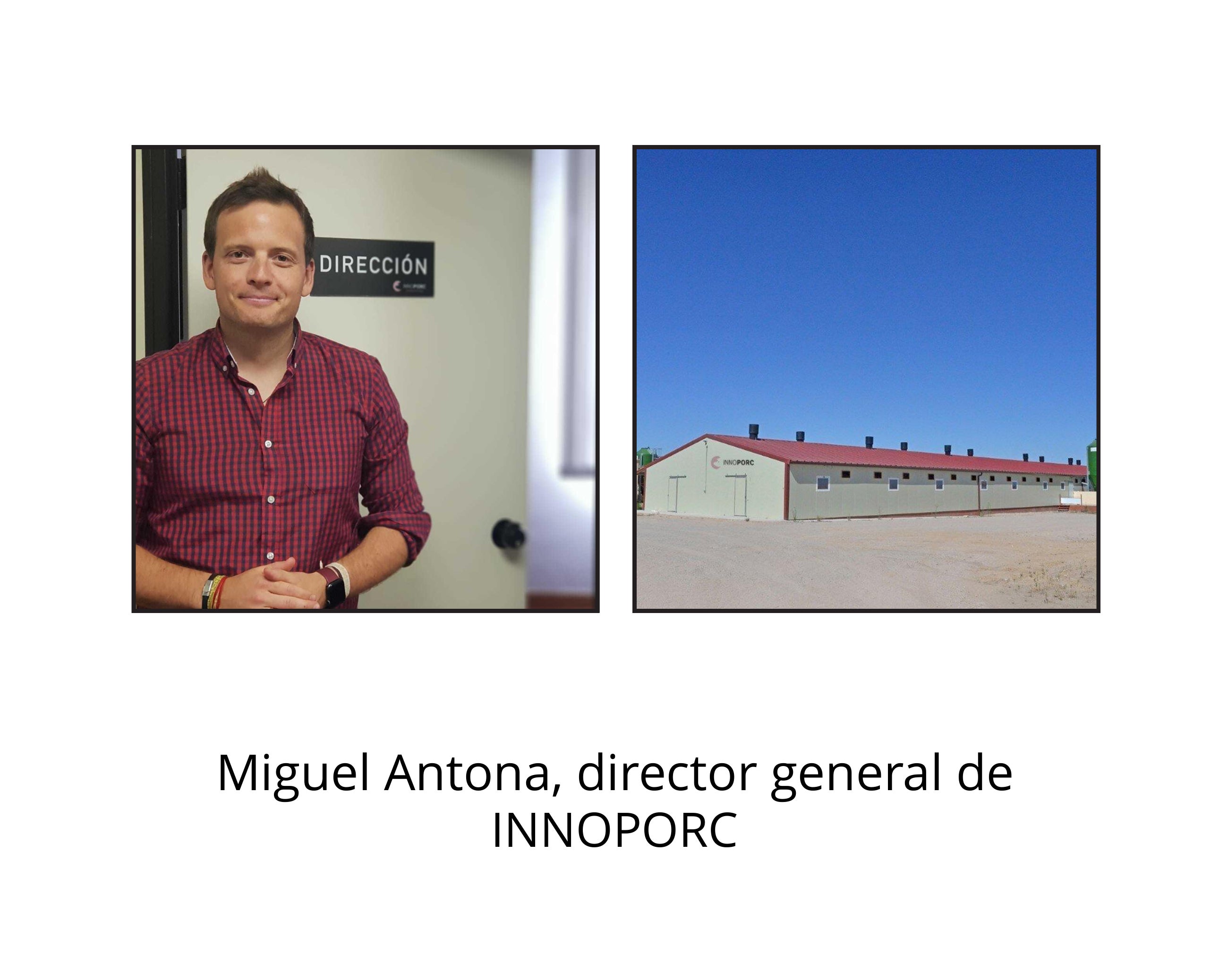 Innoporc adquiere 10.000 pulseras para el proyecto de ayuda a La Palma Innoporc adquiere 10.000 pulseras para el proyecto de ayuda a La Palma