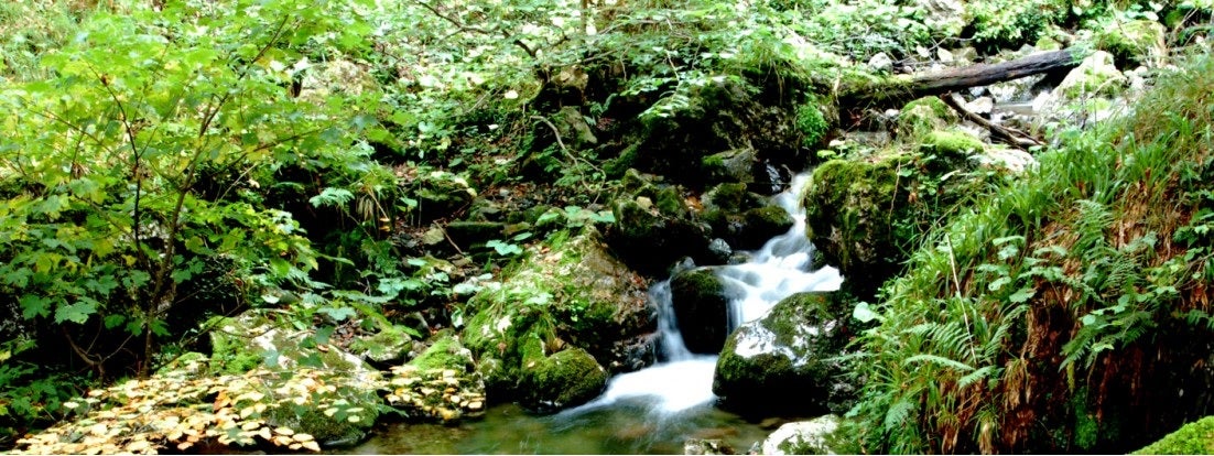Hablamos con el fotógrafo de naturaleza Mario Suárez Porras Hablamos con el fotógrafo de naturaleza Mario Suárez Porras