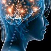 Más de 400.000 personas padecen epilepsia en España Más de 400.000 personas padecen epilepsia en España