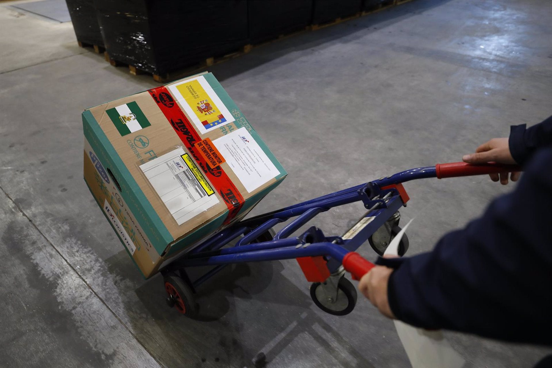 Informativo de tarde 11/02/2021 Informativo de tarde 11/02/2021