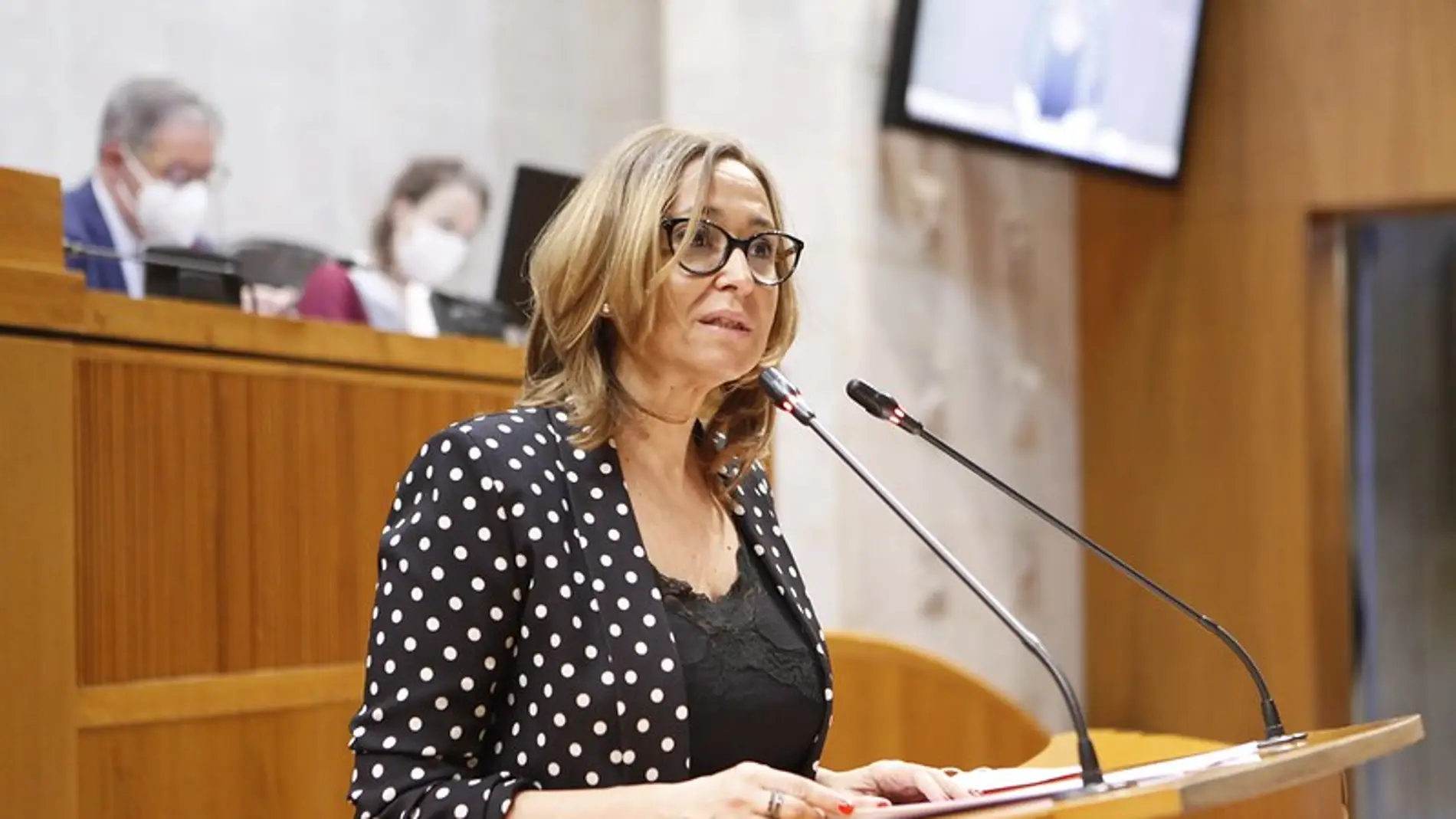 La consejera Mayte Pérez ha presentado los detalles de la ley durante el pleno