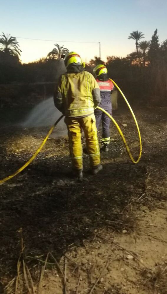 Bomberos en el incendio en la zona de cañar de la carretera Elche-Dolores.