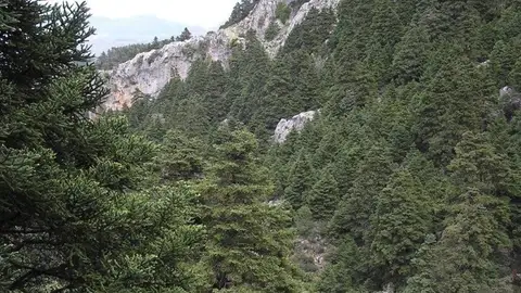 Sierra Nieves Marbella Sierra Nieves Marbella