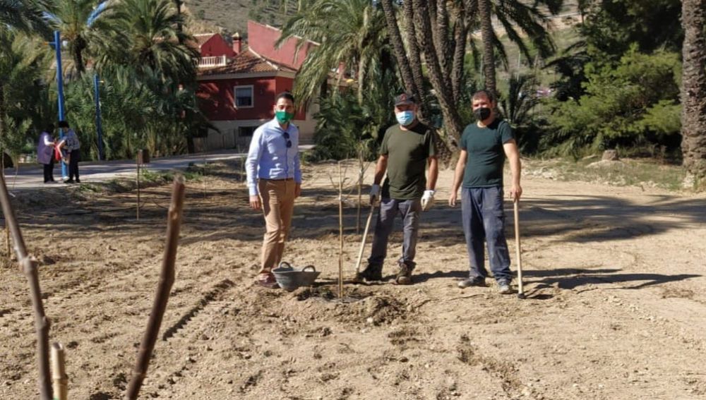 Esta actuación complementa la reciente puesta en cultivo de seis huertos tradicionales Esta actuación complementa la reciente puesta en cultivo de seis huertos tradicionales