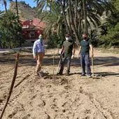 Esta actuación complementa la reciente puesta en cultivo de seis huertos tradicionales Esta actuación complementa la reciente puesta en cultivo de seis huertos tradicionales