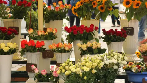 Flores Flores