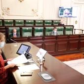 Pleno de la Diputación de Pontevedra