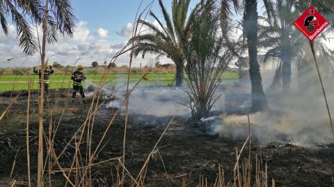 Dos bomberos en el incendio en San Felipe Neri de Crevillent. Dos bomberos en el incendio en San Felipe Neri de Crevillent.