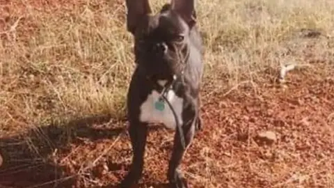 Vini Vini