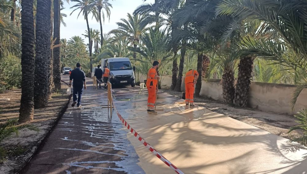 Trabajos de pintado del pavimento en el Camí de l'Almàssera de Elche.
