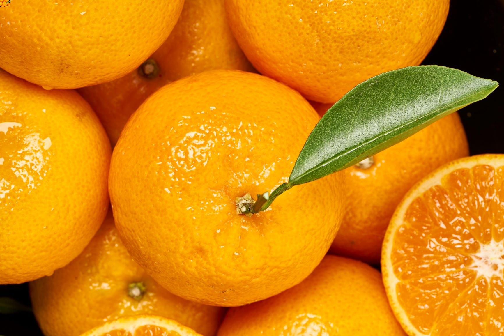 Mandarina Orri Mandarina Orri