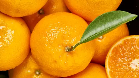 Mandarina Orri Mandarina Orri