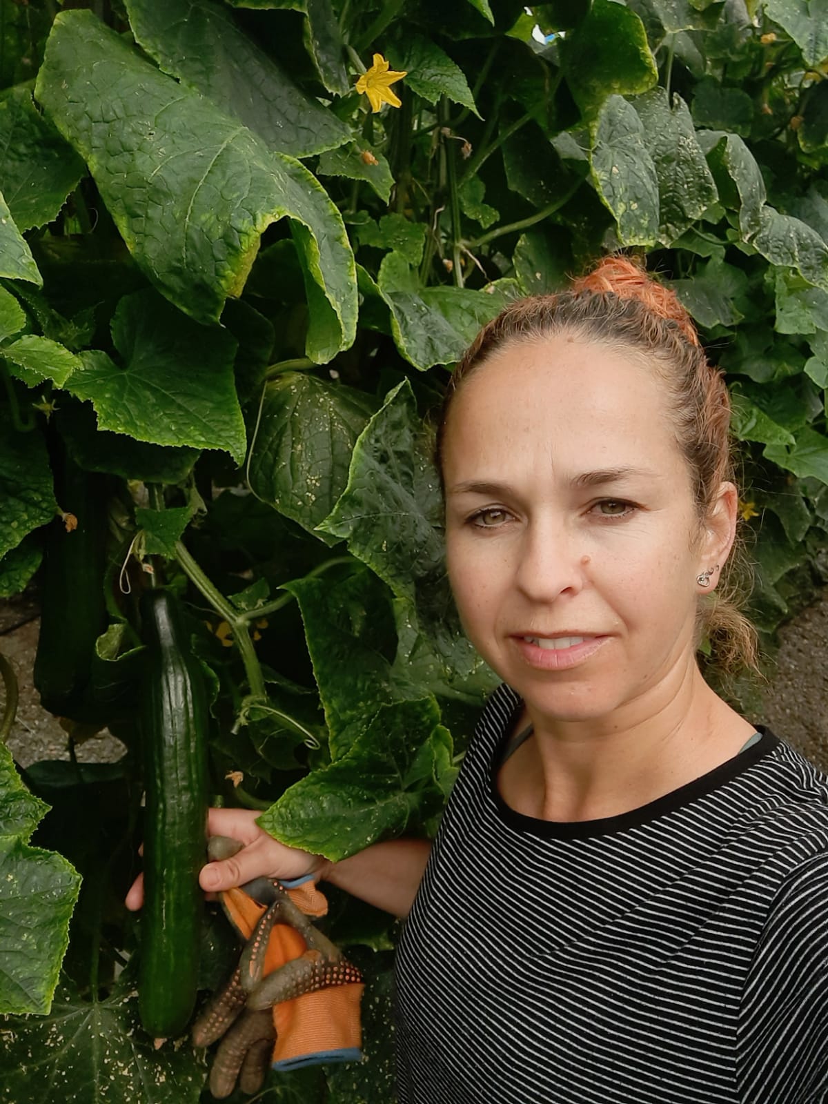 Sara Vázquez agradece a Concepción Abarca que les acompañase a la reunión en Subdelegación y nos cuenta como está el Sector Agrario Sara Vázquez agradece a Concepción Abarca que les acompañase a la reunión en Subdelegación y nos cuenta como está el Sector Agrario