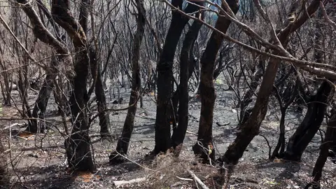onda cero almeria onda cero almeria