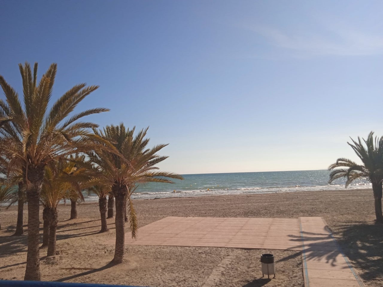 Elche, Crevillent y Santa Pola recuperan esta semana las temperaturas suaves y el sol Elche, Crevillent y Santa Pola recuperan esta semana las temperaturas suaves y el sol