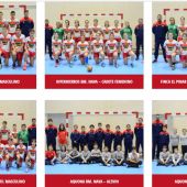 Grupos Balonmano Nava