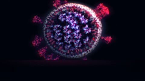 La cepa sudafricana del coronavirus consigue propagarse un 50% m&aacute;s r&aacute;pido