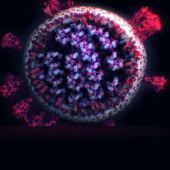 La cepa sudafricana del coronavirus consigue propagarse un 50% más rápido