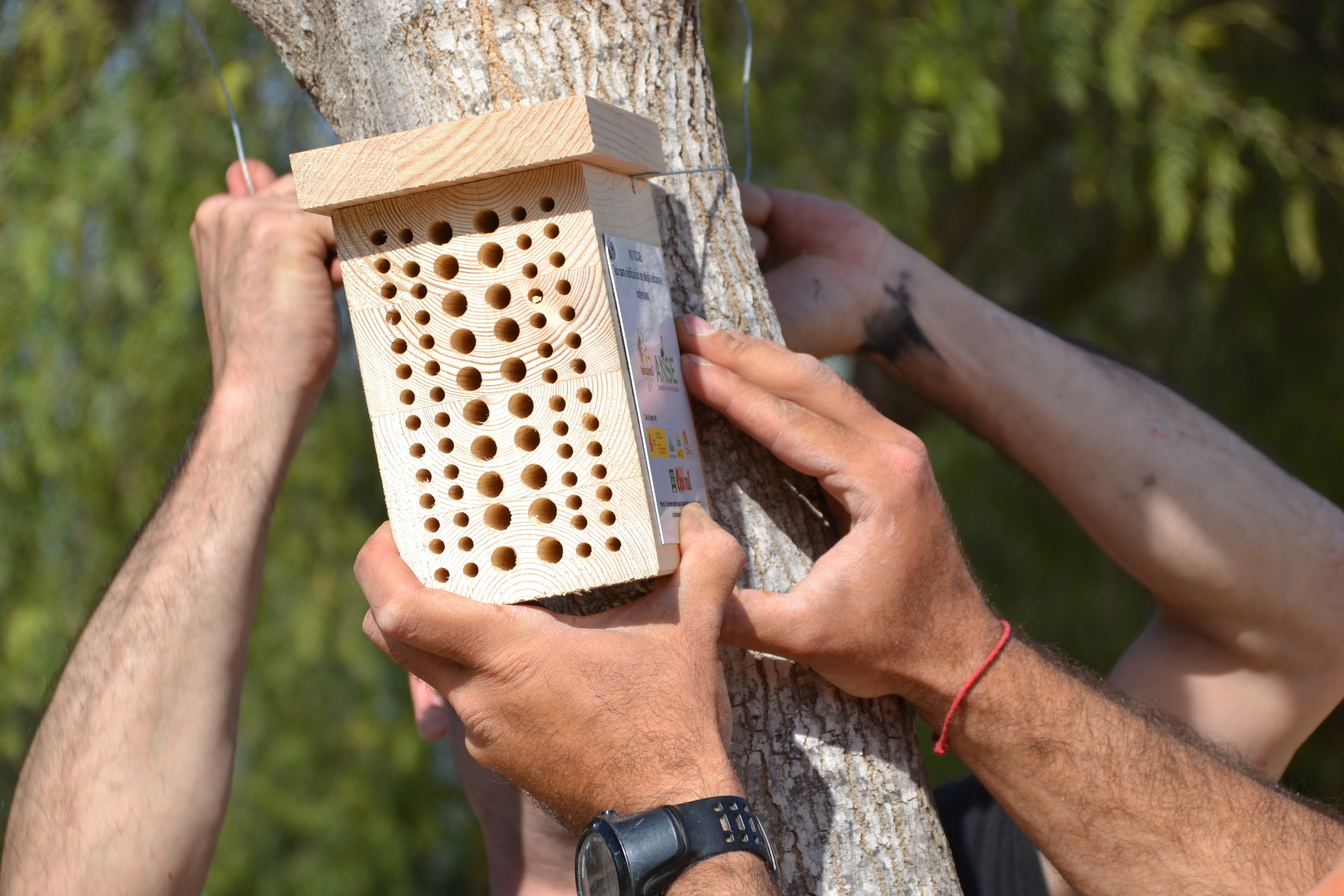 La iniciativa en ejecución consiste en la plantación de unos 150 ejemplares de plantas autóctonas La iniciativa en ejecución consiste en la plantación de unos 150 ejemplares de plantas autóctonas