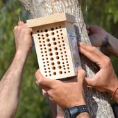 La iniciativa en ejecución consiste en la plantación de unos 150 ejemplares de plantas autóctonas La iniciativa en ejecución consiste en la plantación de unos 150 ejemplares de plantas autóctonas