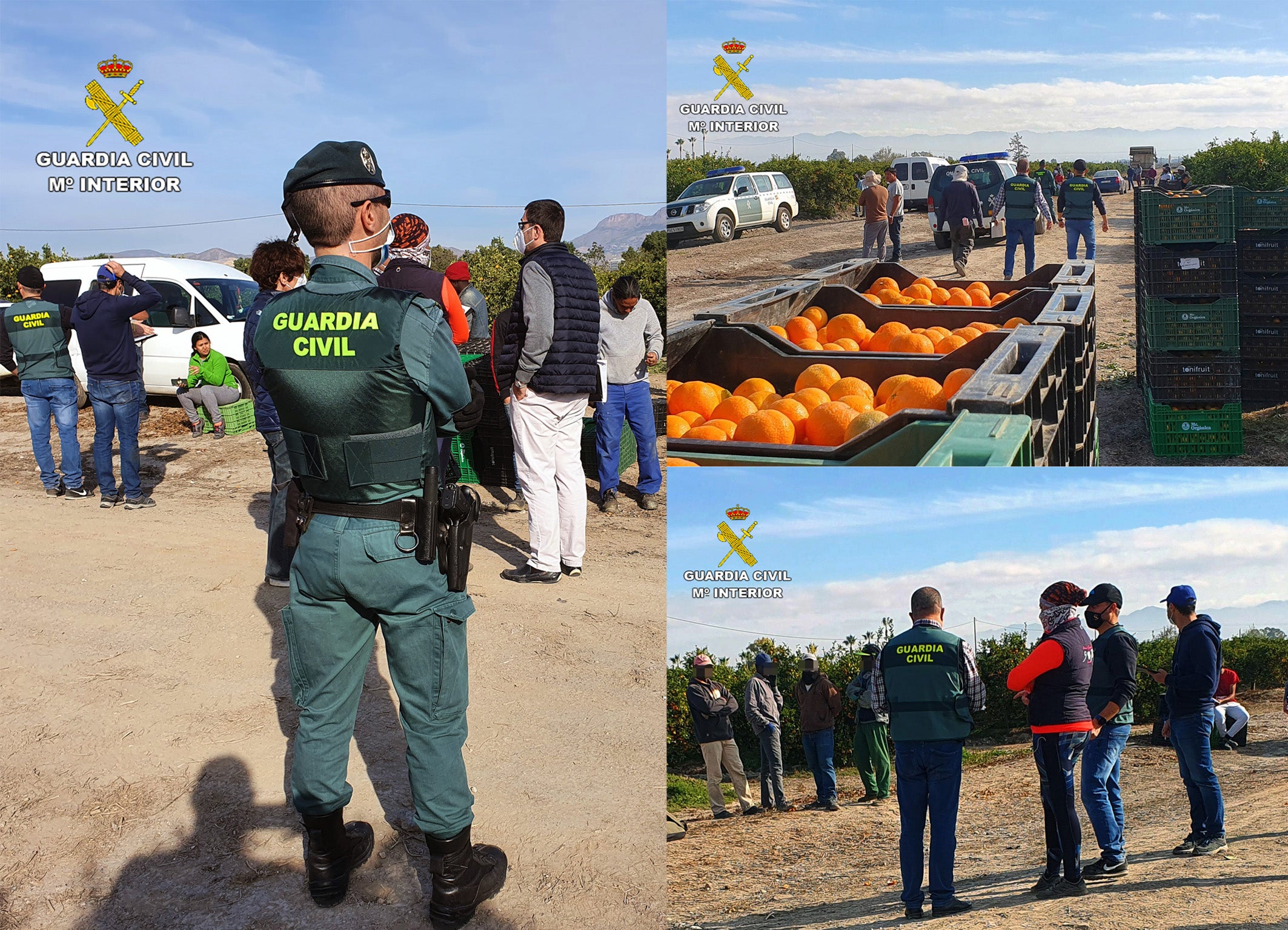 La Guardia Civil investiga a una decena de personas por delitos contra el derecho de los trabajadores La Guardia Civil investiga a una decena de personas por delitos contra el derecho de los trabajadores