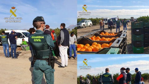 La Guardia Civil investiga a una decena de personas por delitos contra el derecho de los trabajadores