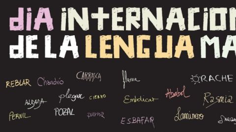 D&iacute;a Lengua Materna