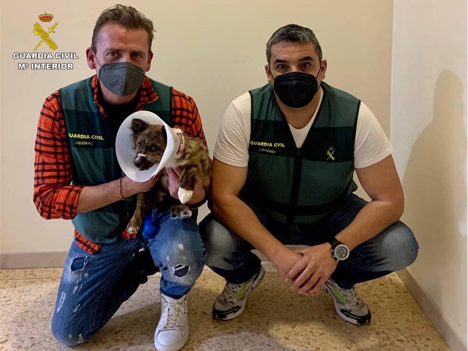 La Guardia Civil ayuda a poner a salvo a un cachorro de perro en Altea La Guardia Civil ayuda a poner a salvo a un cachorro de perro en Altea