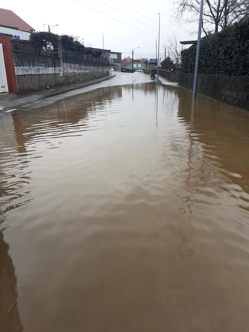 Noticias mediodía Vigo.18/02/2021 Noticias mediodía Vigo.18/02/2021