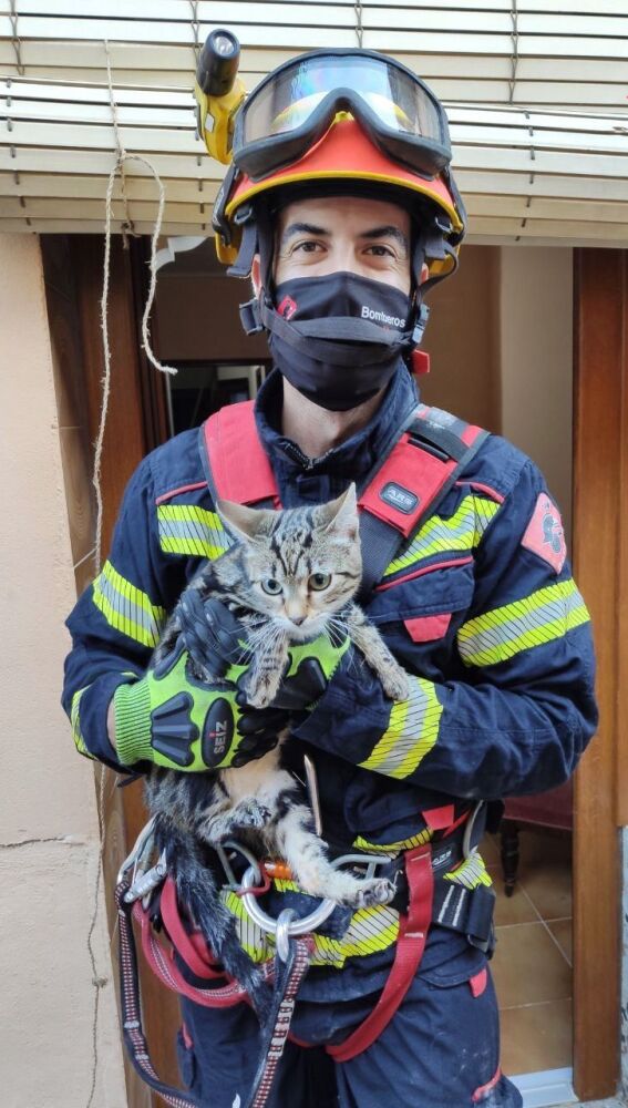 Rescate de un gato