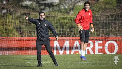 David Gallego David Gallego