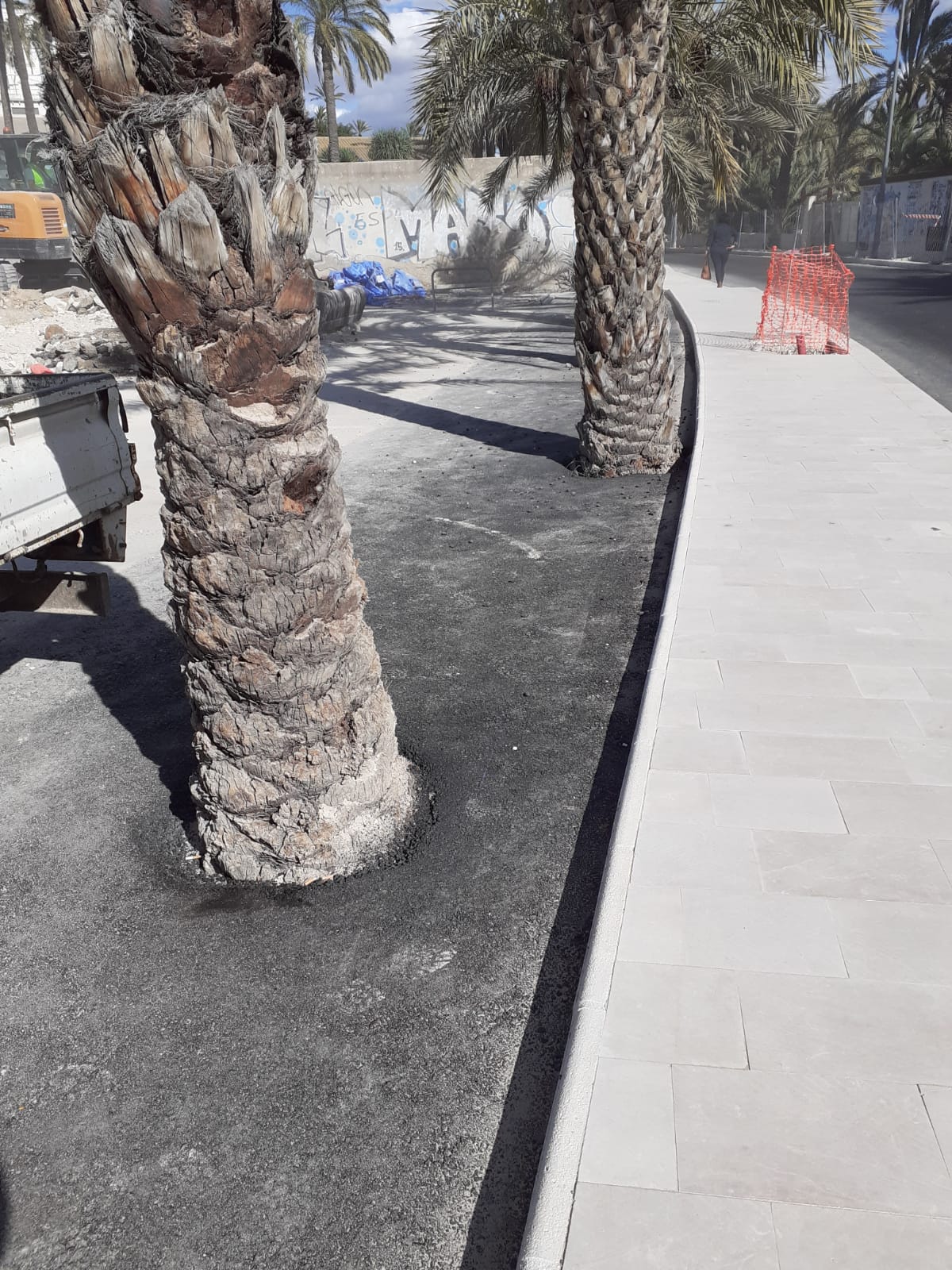 El Patronato del Palmeral de Elche creará una instrucción sobre cómo se tienen que rellenar los alcorques en la vía pública El Patronato del Palmeral de Elche creará una instrucción sobre cómo se tienen que rellenar los alcorques en la vía pública