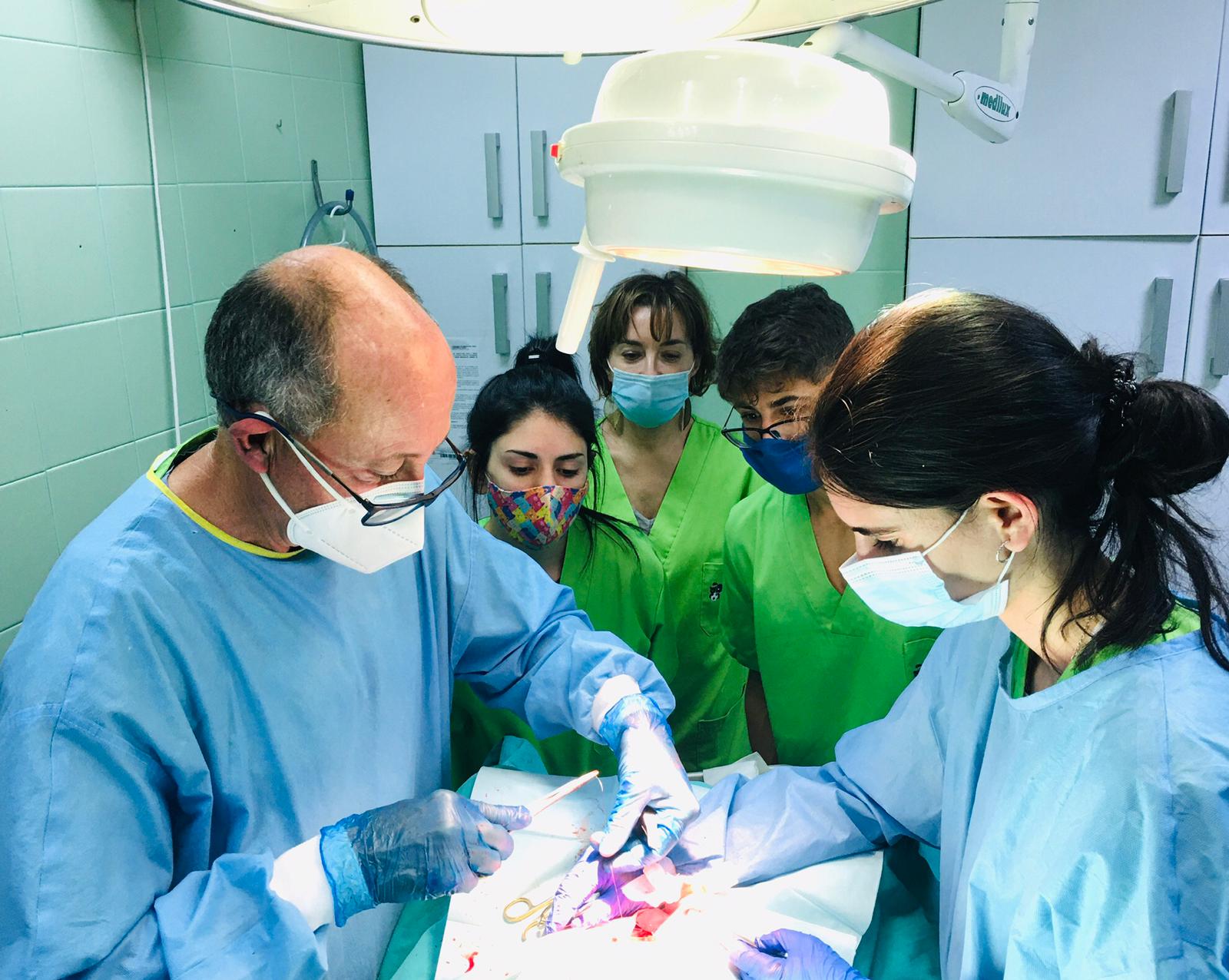 Pequeñas grandes historias en Más de Uno Cádiz: los veterinarios, ante la pandemia Pequeñas grandes historias en Más de Uno Cádiz: los veterinarios, ante la pandemia