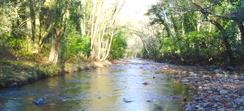 Alejandro Díaz: "Las limitaciones de la nueva Ley de Pesca ya están afectando a la solicitud de cotos en el Piloña" Alejandro Díaz: "Las limitaciones de la nueva Ley de Pesca ya están afectando a la solicitud de cotos en el Piloña"