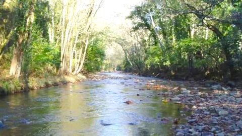 Una imagen del r&iacute;o Pilo&ntilde;a