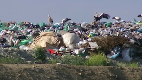 Espa&ntilde;a, &iquest;camino de ser un enorme vertedero? Qu&eacute; ha fallado en nuestro sitema de reciclaje y c&oacute;mo lo solucionamos