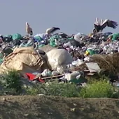 España, ¿camino de ser un enorme vertedero? Qué ha fallado en nuestro sitema de reciclaje y cómo lo solucionamos España, ¿camino de ser un enorme vertedero? Qué ha fallado en nuestro sitema de reciclaje y cómo lo solucionamos