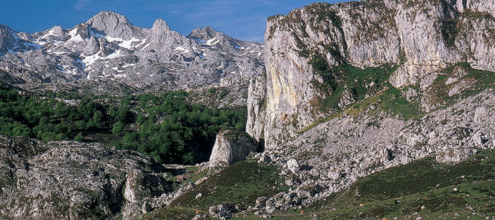 El colectivo empresarial Incatur solicita participar de forma activa en la Mesa de Trabajo del Parque Nacional de los Picos de Europa El colectivo empresarial Incatur solicita participar de forma activa en la Mesa de Trabajo del Parque Nacional de los Picos de Europa