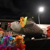 Carnaval de Santa Cruz de Tenerife