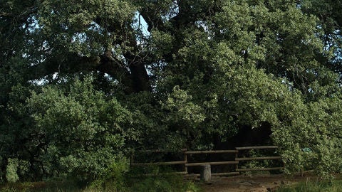 Carretera Secundaria. Por fin no es lunes