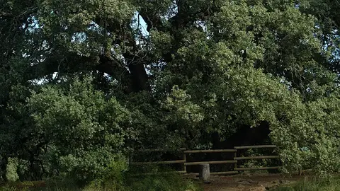 Carrasca de Lecina Carretera Secundaria. Por fin no es lunes