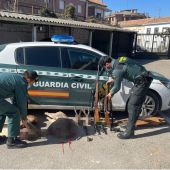 La Guardia Civil investiga a tres personas por un delito contra la flora y la fauna por caza furtiva