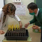 “es una iniciativa que nace como una alternativa al ‘Día del Árbol" “es una iniciativa que nace como una alternativa al ‘Día del Árbol"