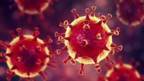 coronavirus