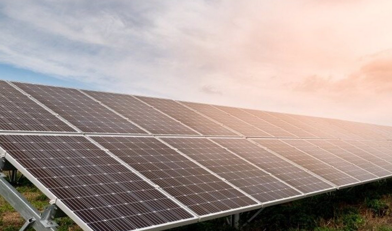 Una empresa proyecta una planta solar en Herrera que acogerá nidos para aves esteparias Una empresa proyecta una planta solar en Herrera que acogerá nidos para aves esteparias