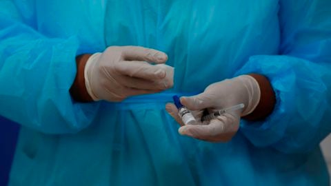 Cepas del coronavirus