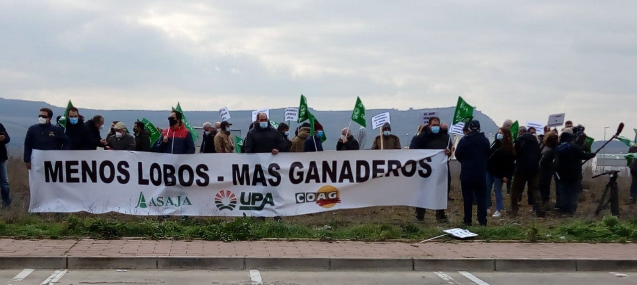 VÍDEO: ASAJA, UPA Y COAG se manifiestan en favor del ganadero y en contra de la protección del lobo VÍDEO: ASAJA, UPA Y COAG se manifiestan en favor del ganadero y en contra de la protección del lobo