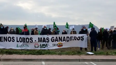 ASAJA, UPA Y COAG se manifiestan en favor del ganadero y en contra de la protección del lobo Palencia