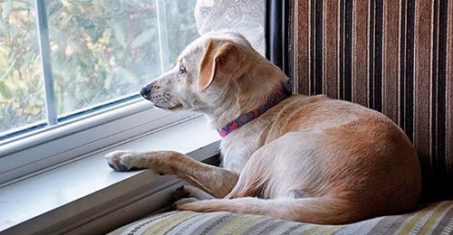 Más de uno Alcalá 27/12/2022 Más de uno Alcalá 27/12/2022